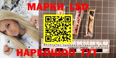 марки nbome Сланцы