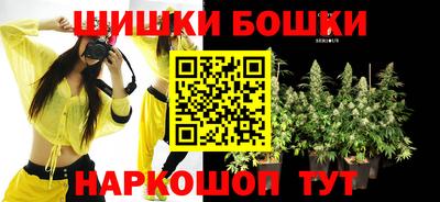 мдпв Славгород