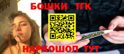 мдпв Славгород