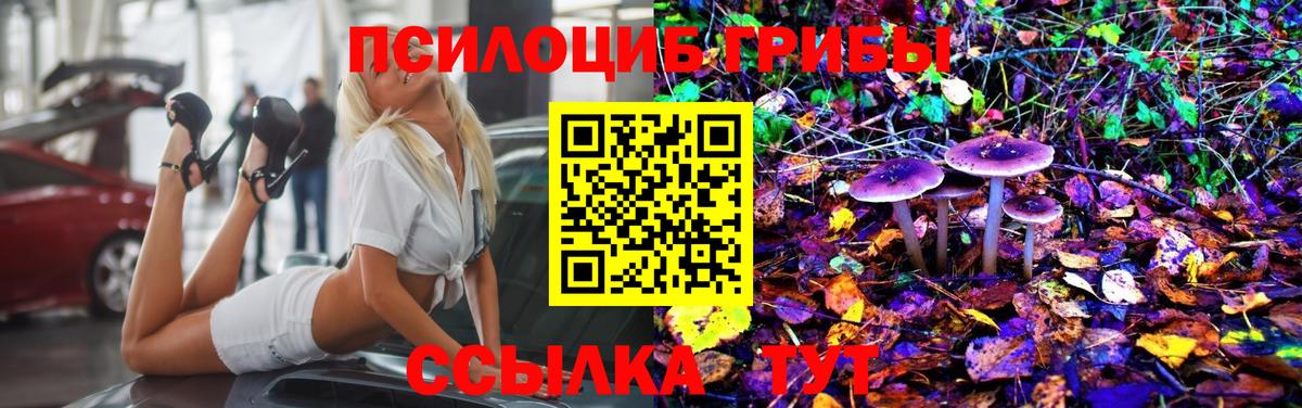 купить наркотик  Вход с VPN  Орск  Галлюциногенные грибы MAGIC MUSHROOMS 