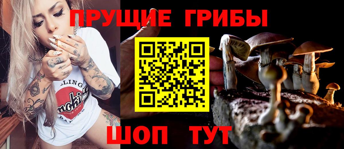 Псилоцибиновые грибы Psilocybine cubensis Орск